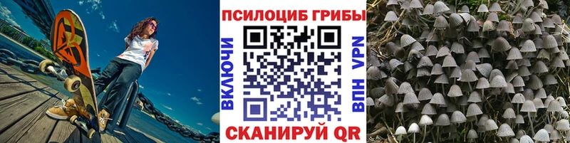 наркотики  Новоузенск  гидра сайт  Галлюциногенные грибы GOLDEN TEACHER 
